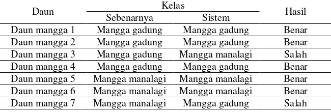 Tabel 1. Contoh Sebagian Hasil Klasifikasi Daun Mangga 