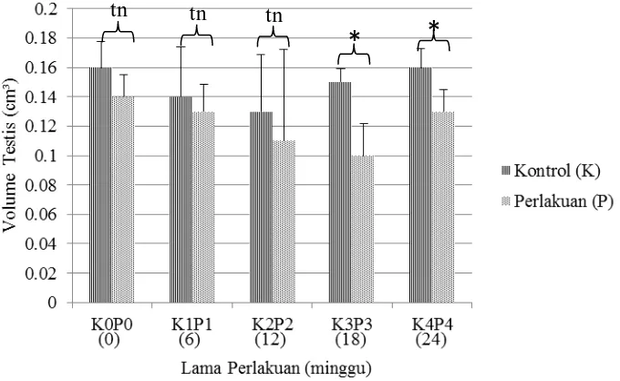 Gambar 6. Diagram Data Volume Testis (cm3) Antara Kelompok Kontrol (K) dan Perlakuan (P)         Ket: tn=p>0,05 *=p<0,05  