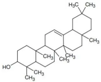 Gambar 2.1 Struktur dasar triterpenoid (Harborne, 1984) 