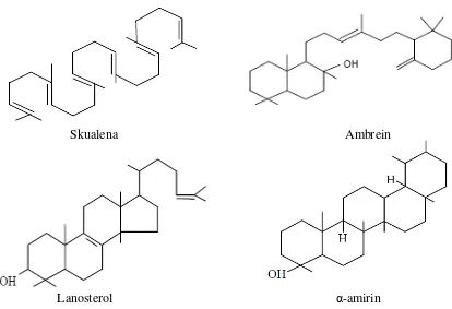 Gambar 2.2 Struktur kimia triterpenoid (Robinson, 1991) 