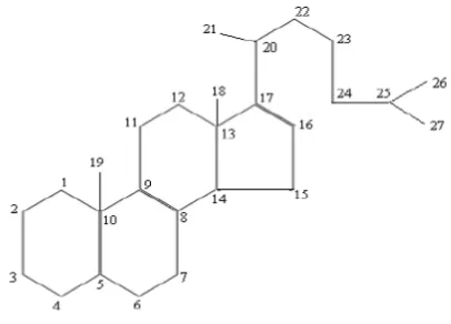 Gambar 2.3 Struktur dasar steroid dan penomorannya (Robinson, 1991) 