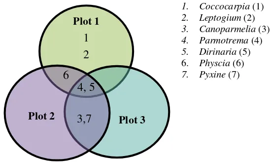 Gambar  6 Distribusi liken makro epifitik di plot 1, 2, dan 3.  