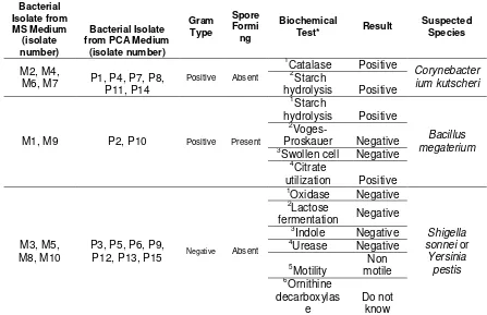 Table 5. Biochemical characteristic of bacterial isolates 