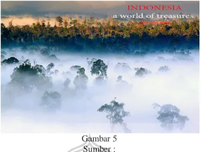 Gambar 5  Sumber : 