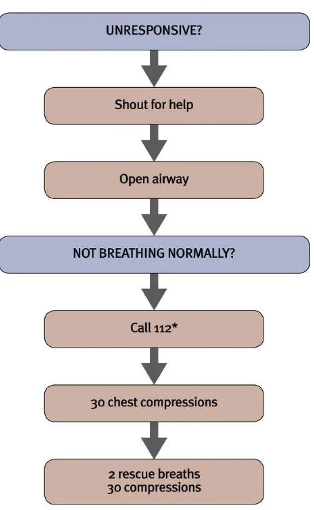 Gambar 2.1.  Algoritma Bantuan HIdup Dasar (sumber: European Resuscitation 