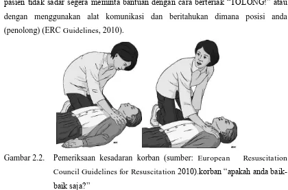 Gambar 2.2. Pemeriksaan kesadaran korban (sumber: European   Resuscitation 