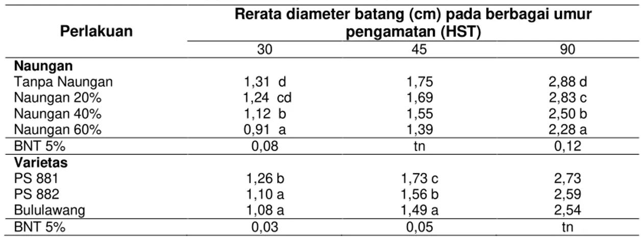Tabel 1 Rerata diameter batang pada berbagai umur pengamatan  