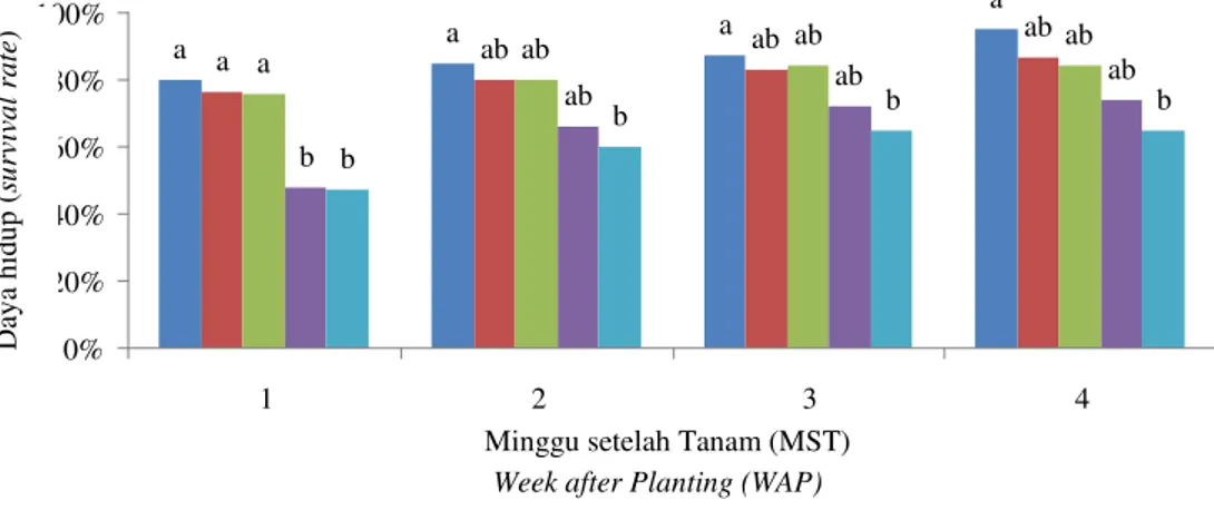 Gambar 1.  Pengaruh  durasi  dehidrasi  dalam  larutan  PVS2  terhadap  daya  hidup  dan  regenerasi,  serta  jumlah  tunas  yang  terbentuk dari eksplan apeks tebu PS864 umur 1−4 MST 