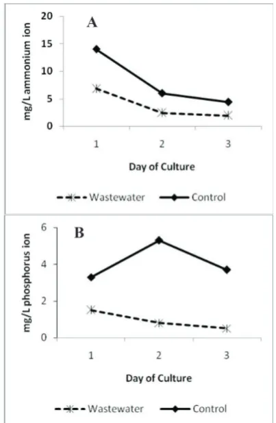 Figure 2: Removal of (A) Ammonium and (B) Phospho-rus from dilute (1:10) wastewater