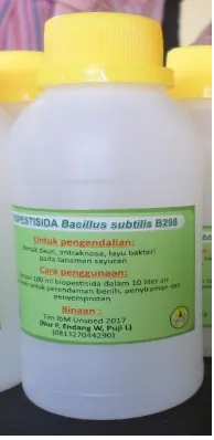 Gambar 1. Biopestisida Bacillus subtilis B 298 