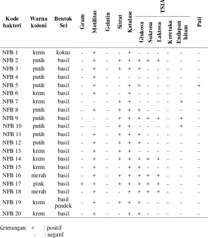 Tabel 1.Karakterisasi sifat morfologi koloni dan sel, dan sifat biokimia bakteri                  endofit yang disolasi dari kelapa sawit    