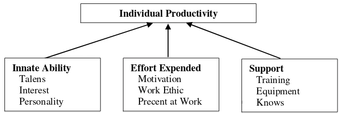 Gambar 1: Produktivitas Individu (Karyawan/kelompok kerja) 