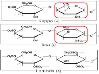 Gambar 2.1 Struktur kimia kappa, iota, dan lambda karagenan (Bubnis 2000)   