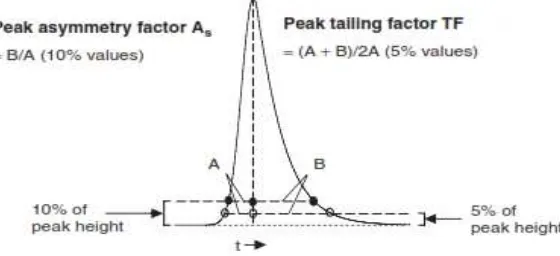 Gambar 4 Pengukuran derajat asimetris puncak (Snyder, dkk., 2010) 
