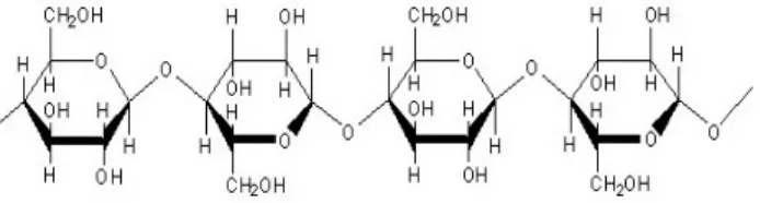 Gambar 2.1 Struktur kimia Selulosa(Mufridayati, 2013). 