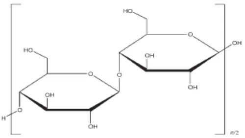 Gambar 2.4Struktur kimia Selulosa Mikrokristal (Rowe, dkk., 2009). 