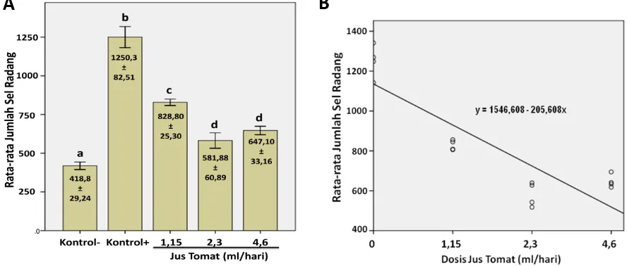 Gambar 2. Pengaruh pemberian jus tomat terhadap jumlah sel radang di alveolus tikus yang dipapar asap rokok subkronik
