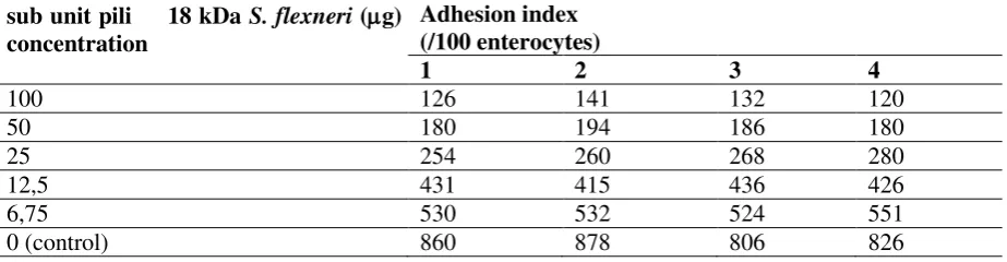 Figure 2. Hemagglutination test of subunit pili protein S. flexneri shows negative 