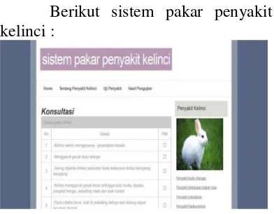 Gambar 3. Tampilan Hasil Pengujian Penyakit 1 