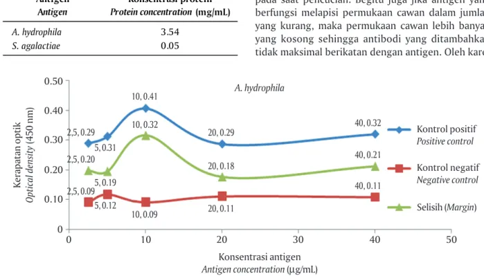 Table 1. Protein concentration of antigens A. hydrophila and S. agalactiae that was sonicated Antigen  Antigen Konsentrasi protein  Protein concentration  (mg/mL) A