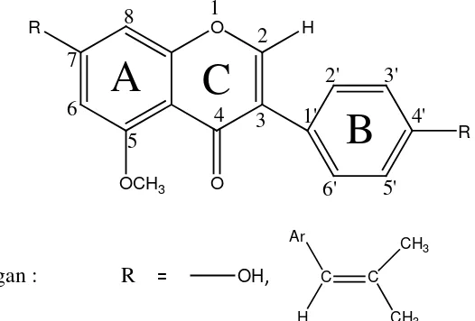 Gambar 4.4 Kemungkinan Struktur Senyawa Hasil Isolasi (Isoflavon) 