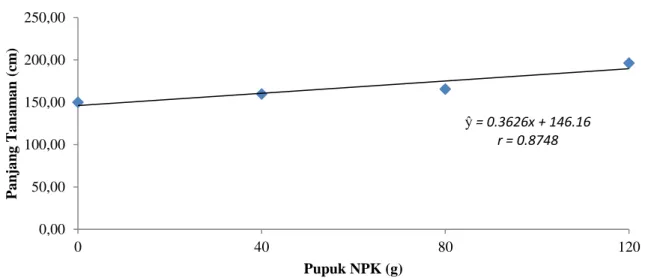 Gambar 1.Hubungan panjang tanaman melon umur 9 MST dengan pemberian pupuk NPK  Gambar  1  menunjukkan  bahwa  pengaruh  pemberian  pupuk  NPK  terhadap  panjang  tanaman  menunjukkan  hubungan  yang  linear,  dimana  panjang  tanaman  melon  semakin  menin