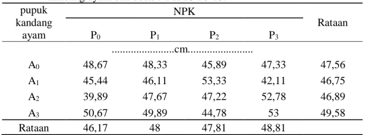 Tabel   1. Rataan  tinggi  tanaman  kedelai  hitam  dengan  pemberian  pupuk  kandang ayam dan dosis NPK 16-16-16