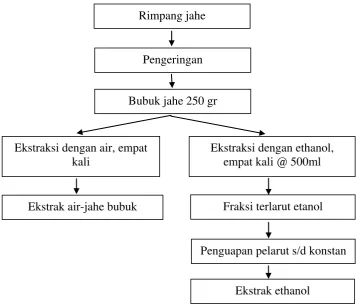 Gambar 4. Ekstraksi Jahe 