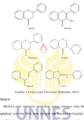 Gambar 2.3 Jenis-jenis Flavonoid (Sudarmin, 2003) 