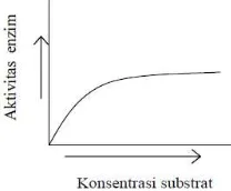 Gambar 2 Pengaruh konsentrasi substrat pada   laju aktivitas enzim (Poedjiadi, 2007)