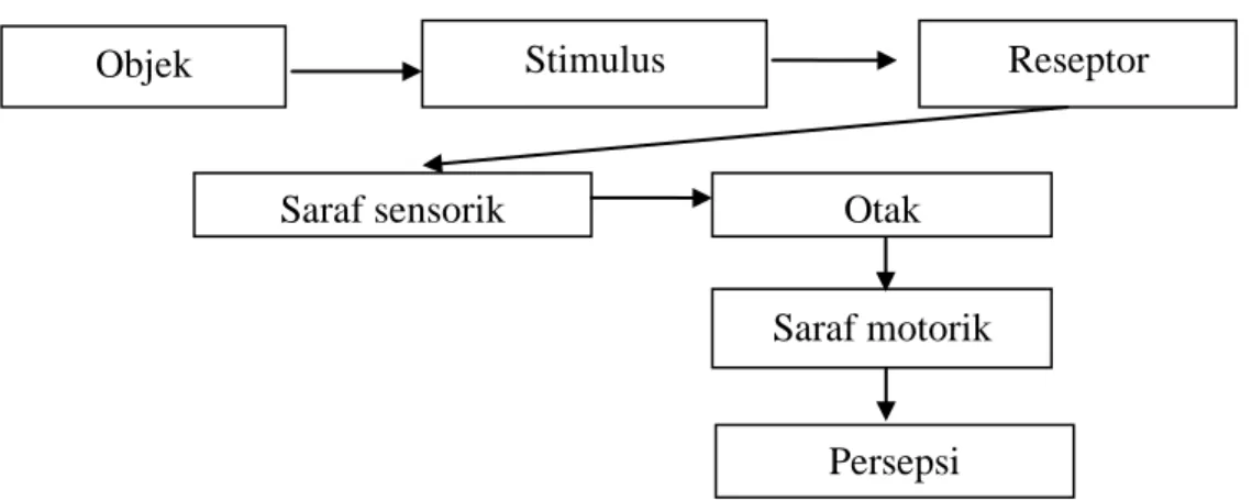 Gambar 1. Proses terjadinya persepsi  Objek 