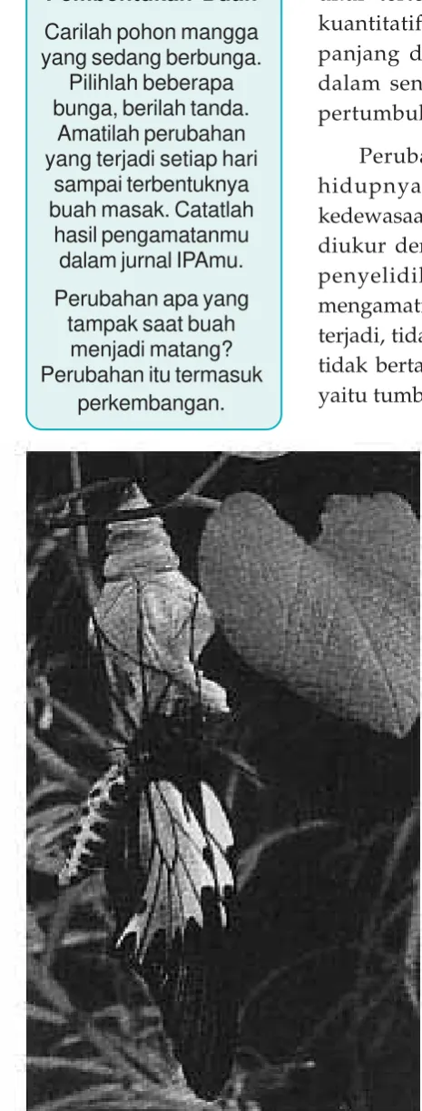 Gambar 1.2