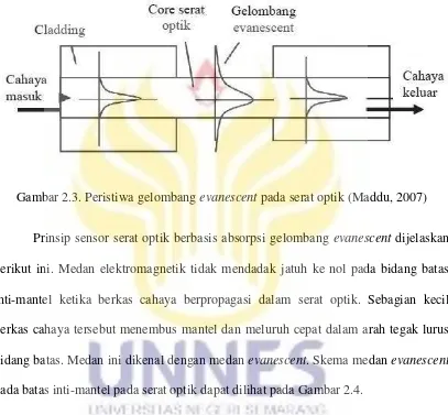 Gambar 2.3. Peristiwa gelombang evanescent pada serat optik (Maddu, 2007) 