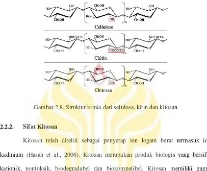 Gambar 2.8. Struktur kimia dari selulosa, kitin dan kitosan 