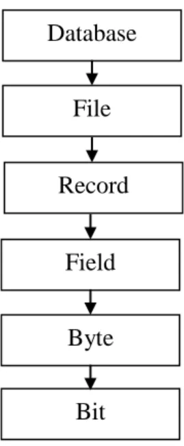 Gambar II.2 Tingkatan Data Dalam Database 