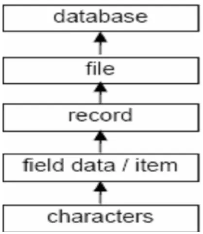Gambar II.1. Jenjang Database  Sumber : (Minarni ; 2014 : 105) 