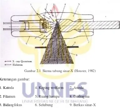Gambar 2.1  Skema tabung sinar-X (Hoxster, 1982) 