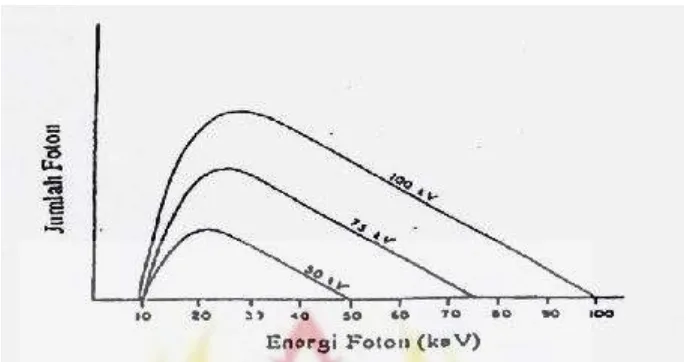 Gambar 2.5  Spektrum sinar-X pada tegangan tabung yang berbeda(Sprawls, 1987). 