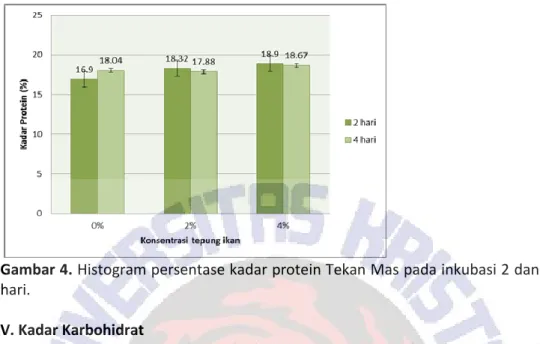 Gambar 4. Histogram persentase kadar protein Tekan Mas pada inkubasi 2 dan 4  hari.  