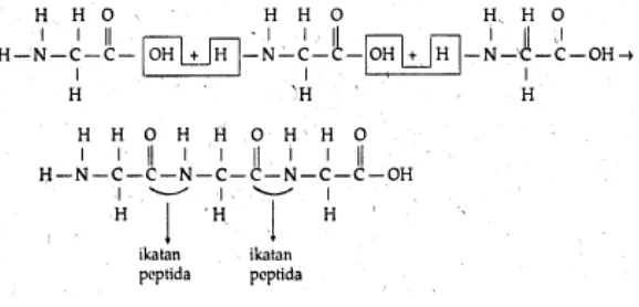 Gambar struktur protein