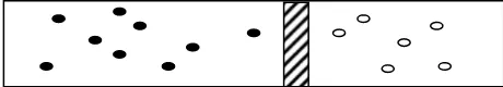 Fig. 1.2 Atoms of two different monatomic gases are separated by a movable piston. 