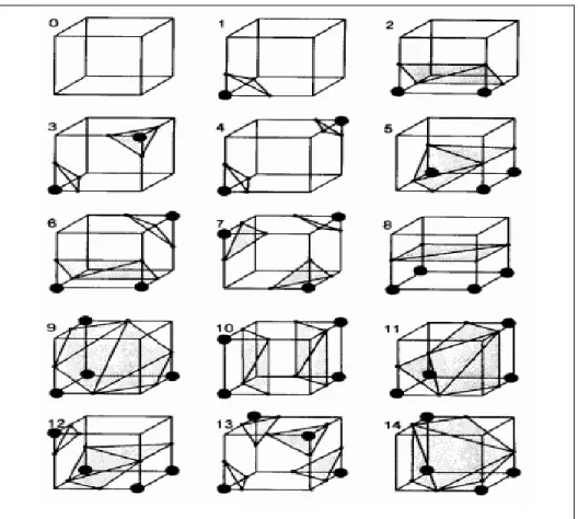 Gambar 2. Pola Kubus Imajiner Algoritma Marching Cube 