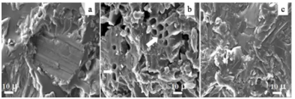 Gambar 2 (a-c) adalah foto SEM morfologi sampel B70PC30, B50PC50 dan B30PC70 yang memperlihatkan mikrostruktur dengan bentuk yang tidak teratur dan ada sedikit formasi aglomerasi kristalit karbon dari petroleum coke dengan ukuran 50-100 m dan terlihat ada