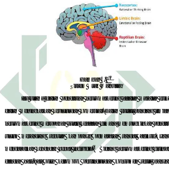 Gambar 4.1 92 Sistem Otak Manusia