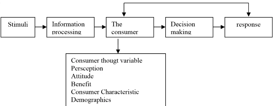 Gambar 1. Model Pengambilan Keputusan Konsumen  (Assael, 1998).