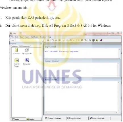 Gambar 2.1 Tampilan Awal Program SAS 