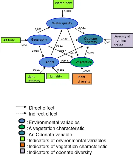 Figure 2.  Intermediate structural model of environmental factors, vegetation and odonate diversity relationships in Sub DAS Brantas Area 