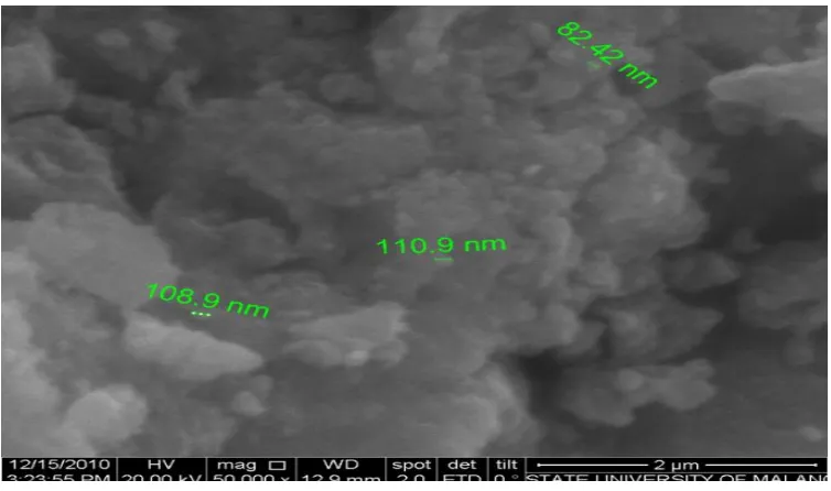 Gambar 2.  Hasil SEM untuk nanokristal Fe3O4 dari hasil sintesa dengan metode kopresipitasi 