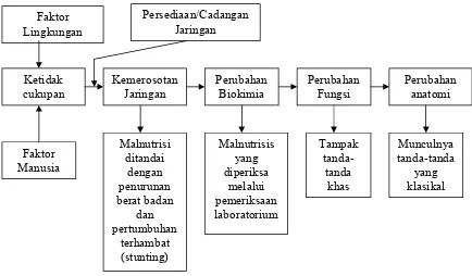 Gambar 5. Patogenesis Penyakit Kurang Gizi (Sumber : Solon F.S dan Rodolfo, 1997)
