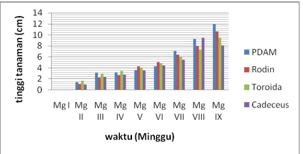 Gambar 4. Grafik batang pertumbuhan tanaman cabai 